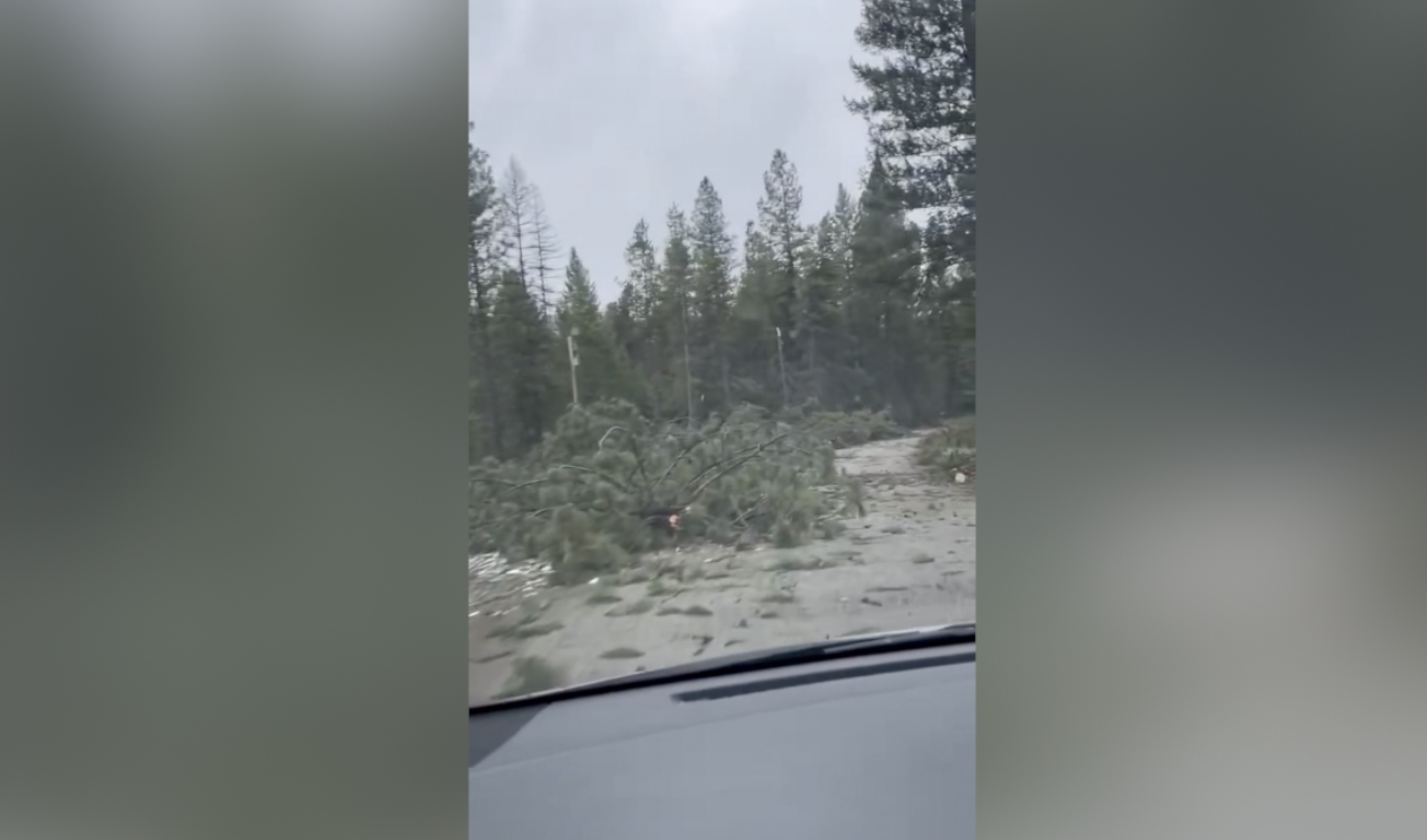 Lincoln County Windstorm Damage