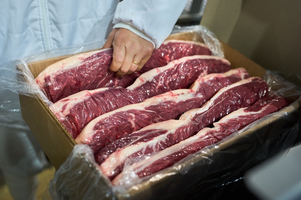 A worker checks vacuum-packed steaks ready for export at the Frigolar beef processing plant in La Plata, Argentina, Thursday, Nov. 6, 2025. 