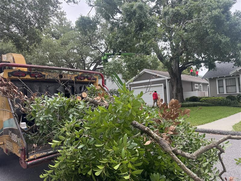 Hurricane season prep