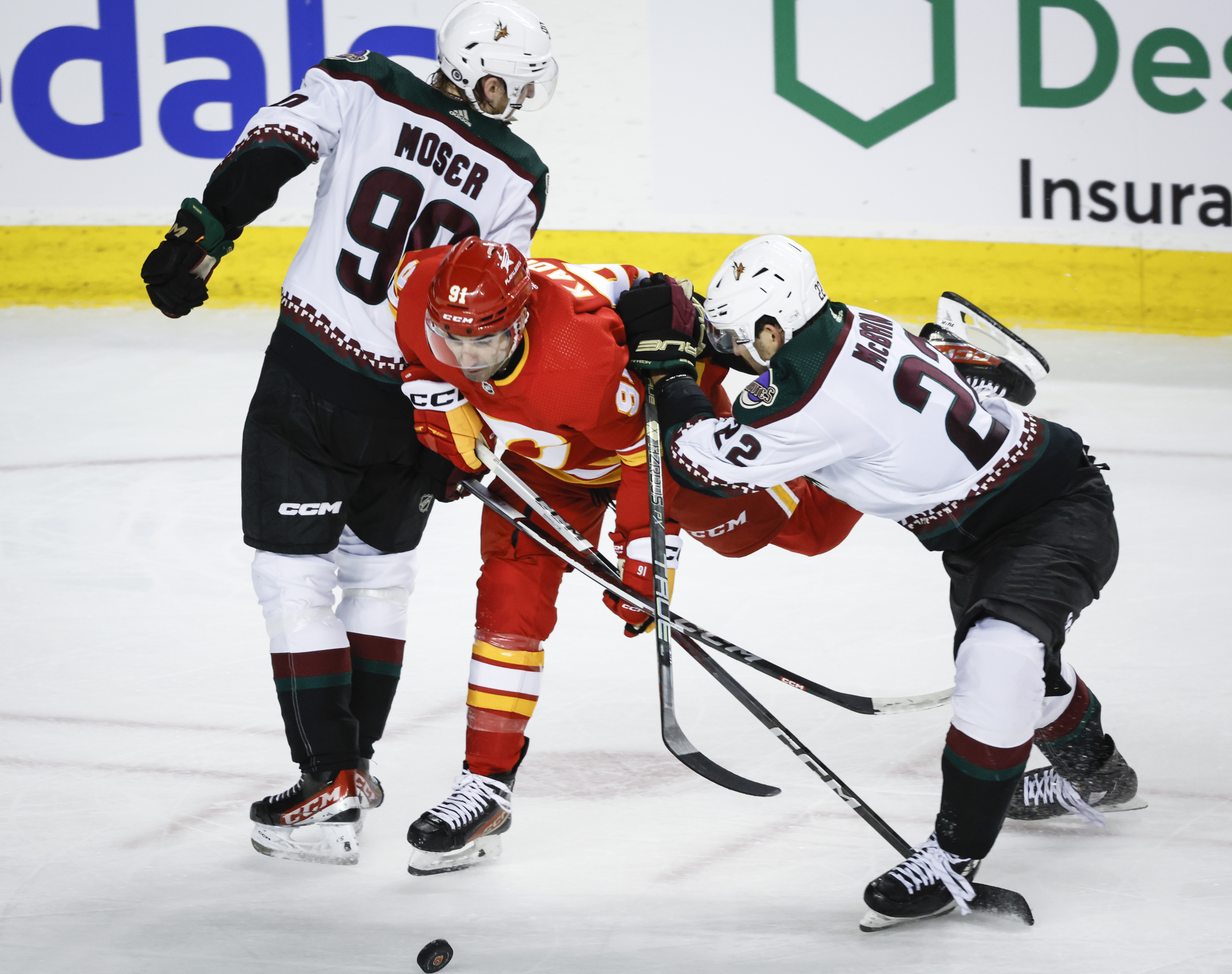 Coyotes Flames Hockey