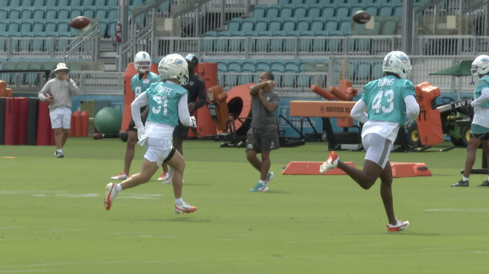 Dolphins Captains