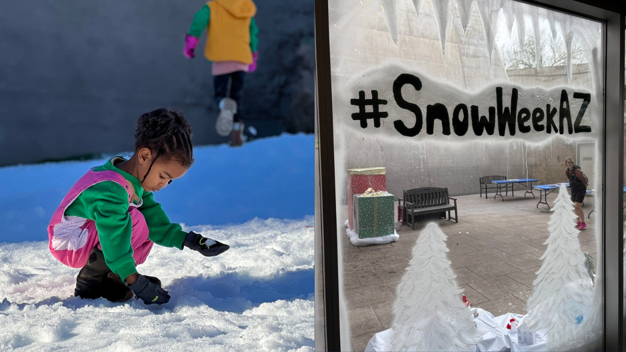 Snow Week at ASC.png