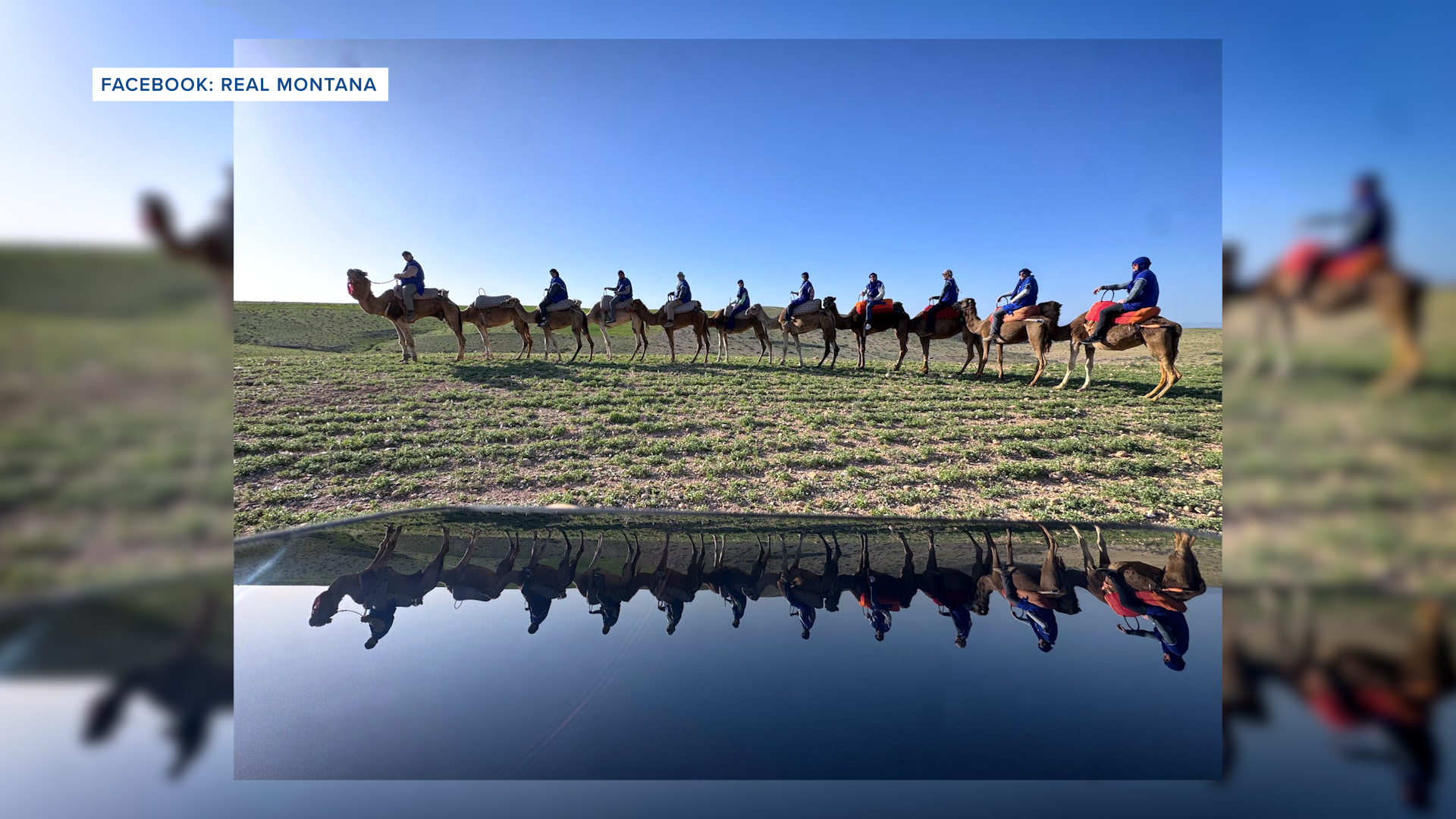 REAL Montana