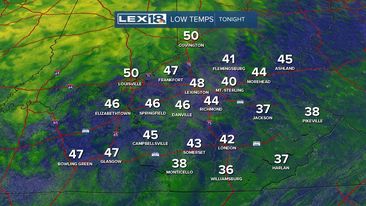 LOWS TONIGHT