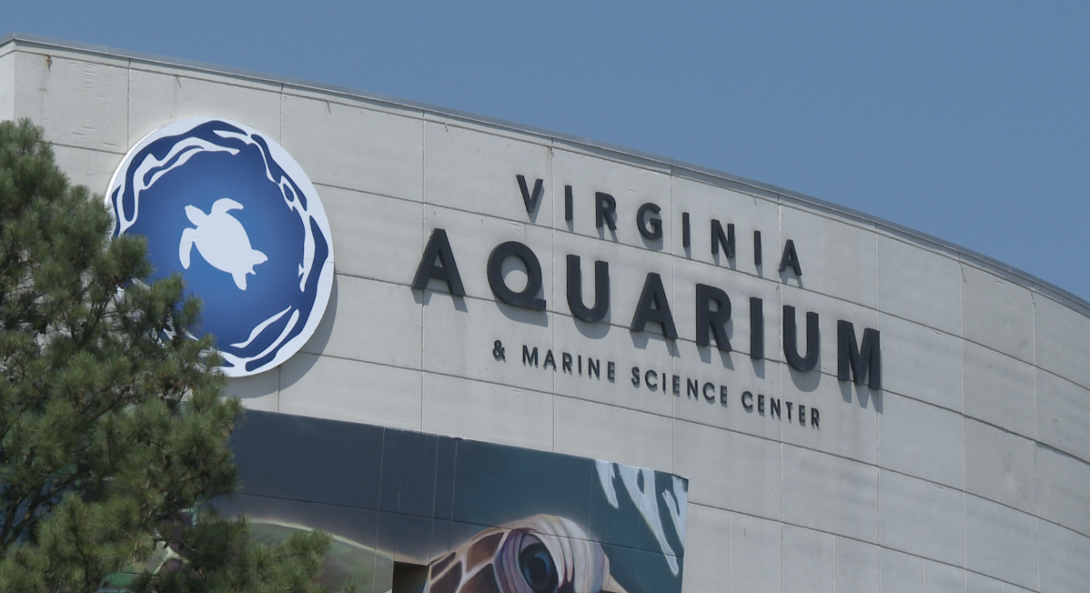 Virginia Aquarium