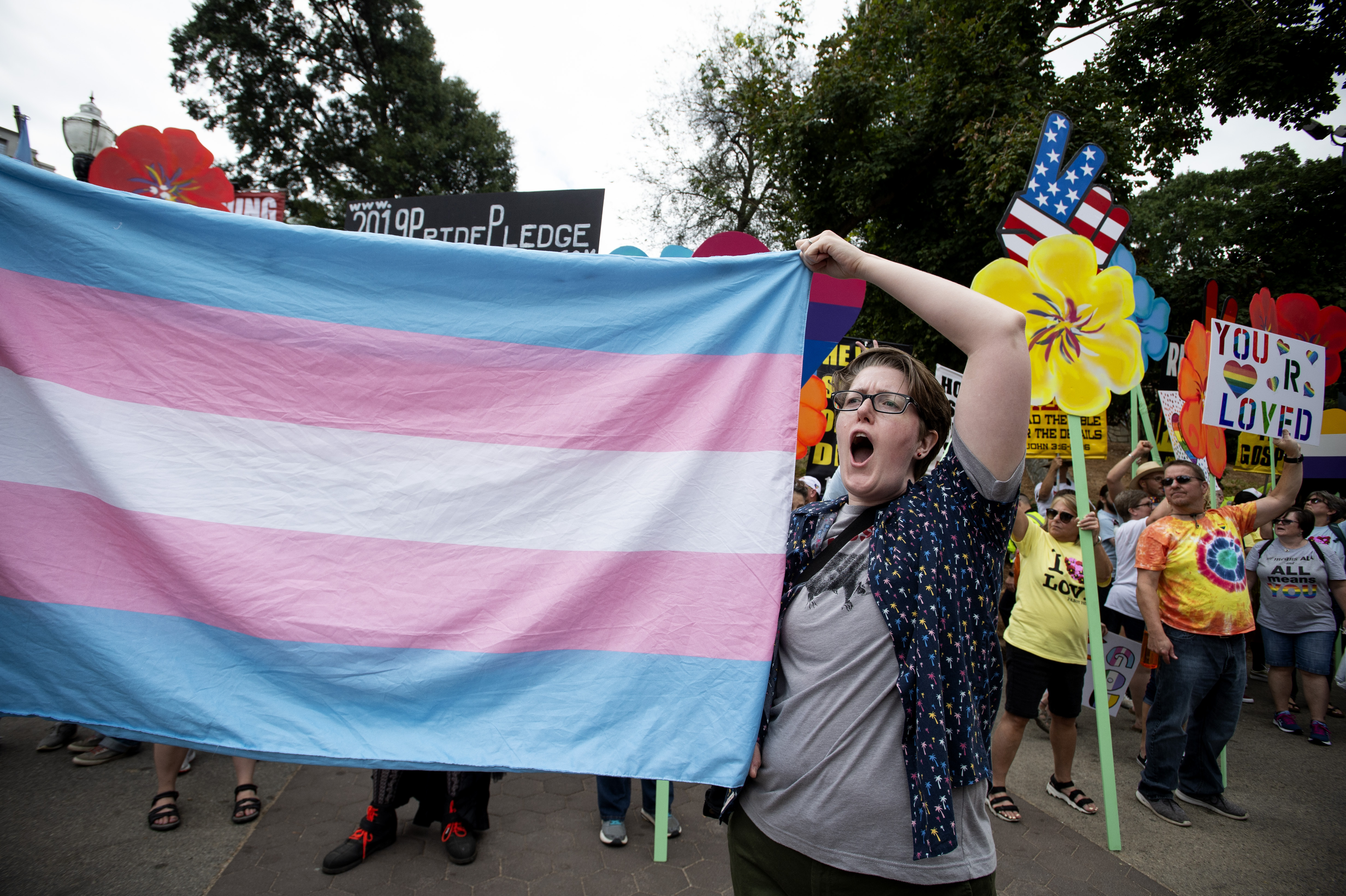 Trans Flag Transgender Flag