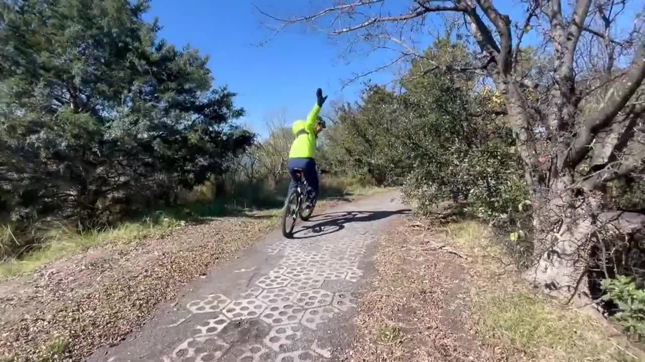 Poster image (5).jpg