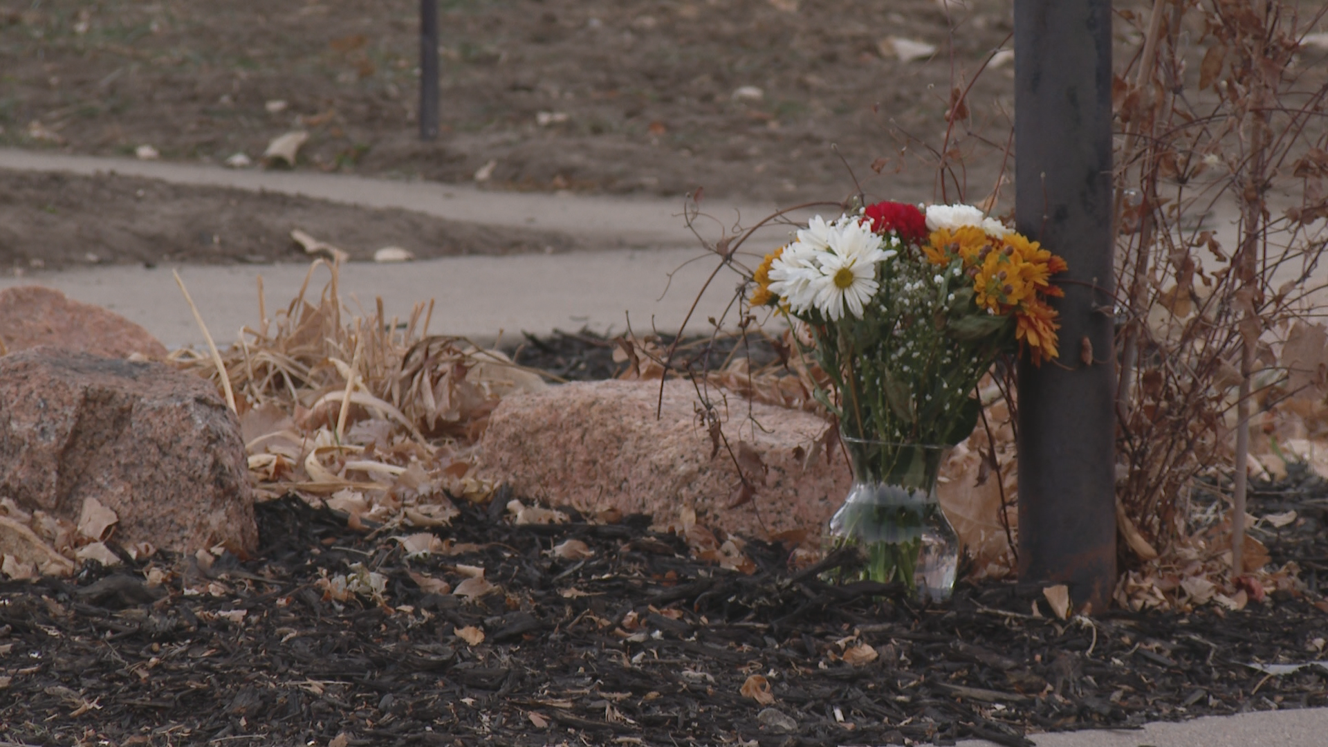Colorado Springs has had 40 homicides this year
