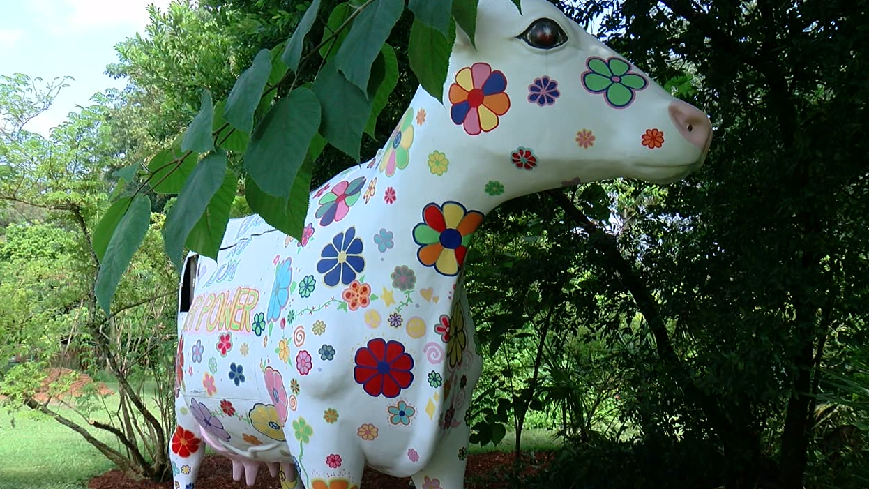 USF botanical gardens