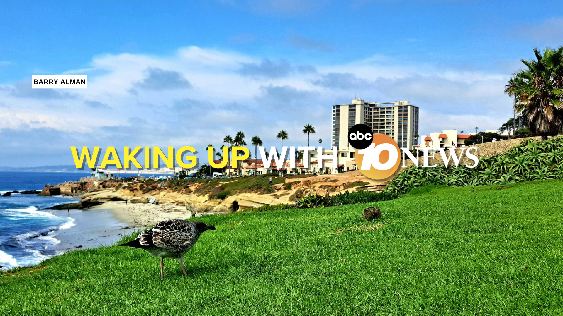 newsletter_barry_alman_la_jolla_shores_grass_082525.png