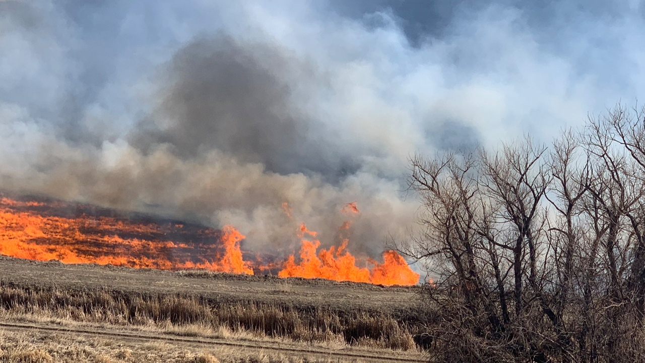 grassfire2.png