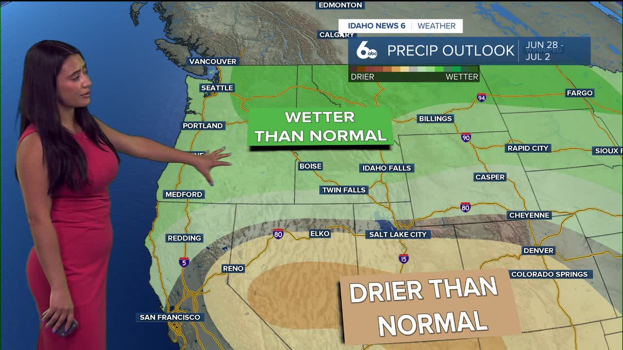 Forecast 