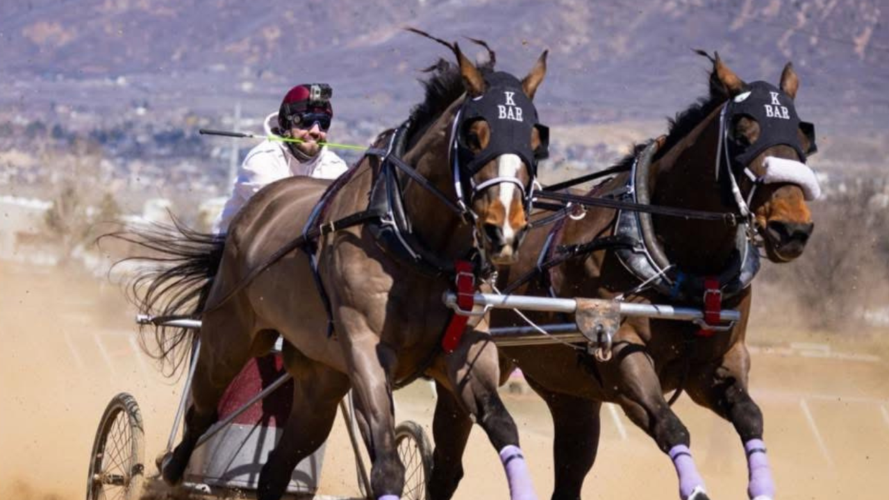 Chariots, SkiJoring, Polar Plunge and MORE events happening across Utah this weekend!