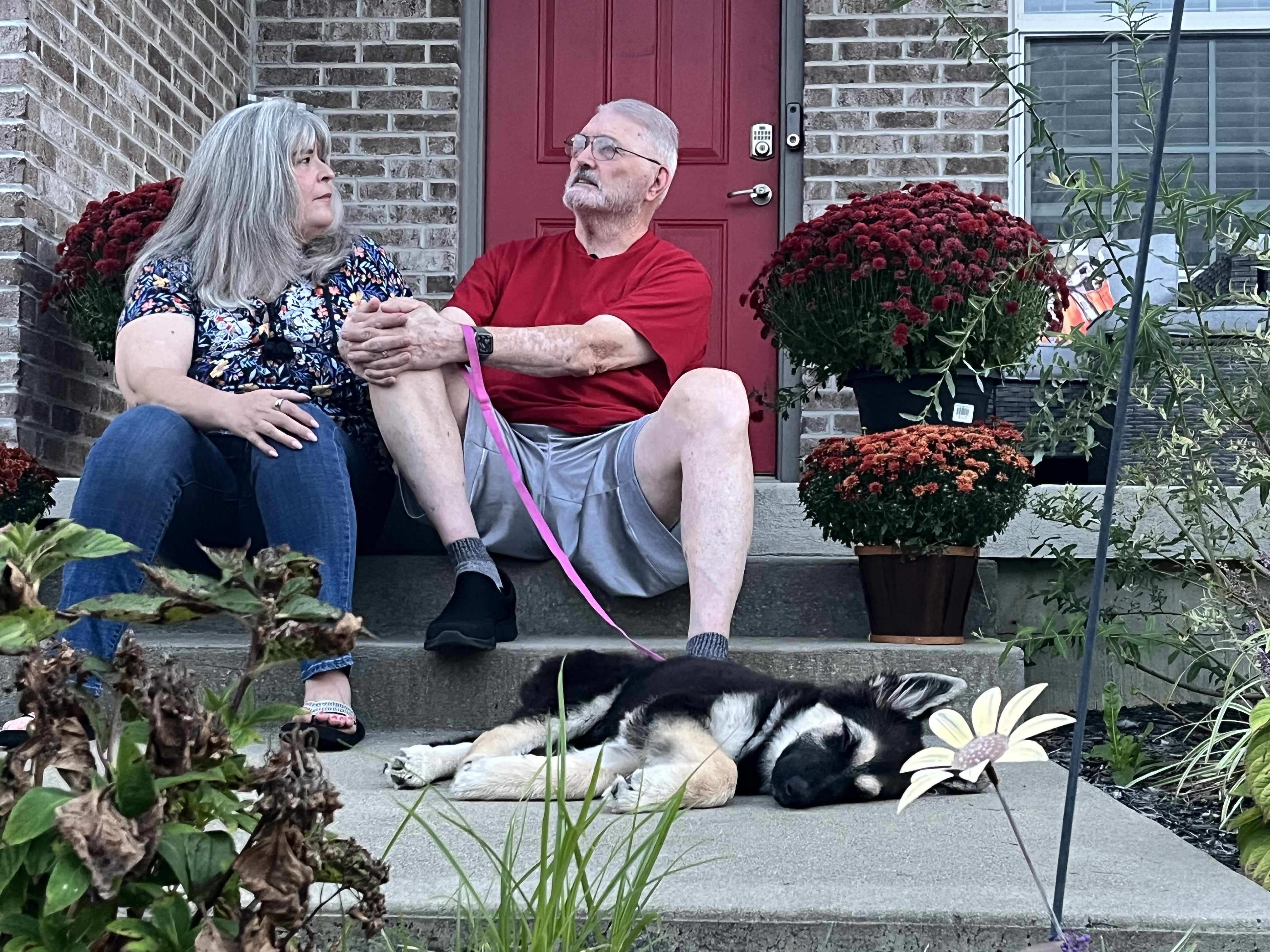 Veteran awarded puppy for his service