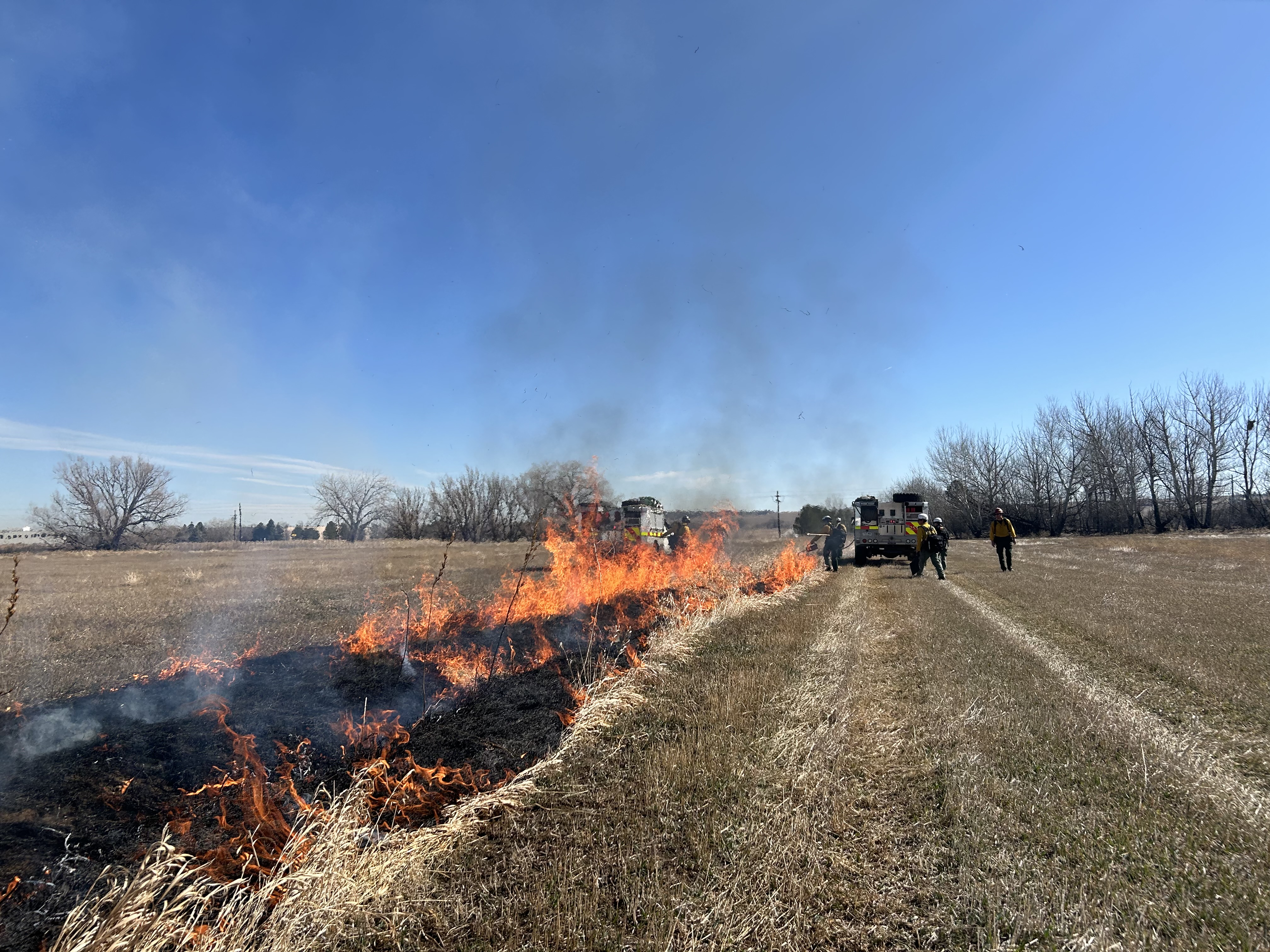 prescribed burn in boulder_april 4 2024.jpg