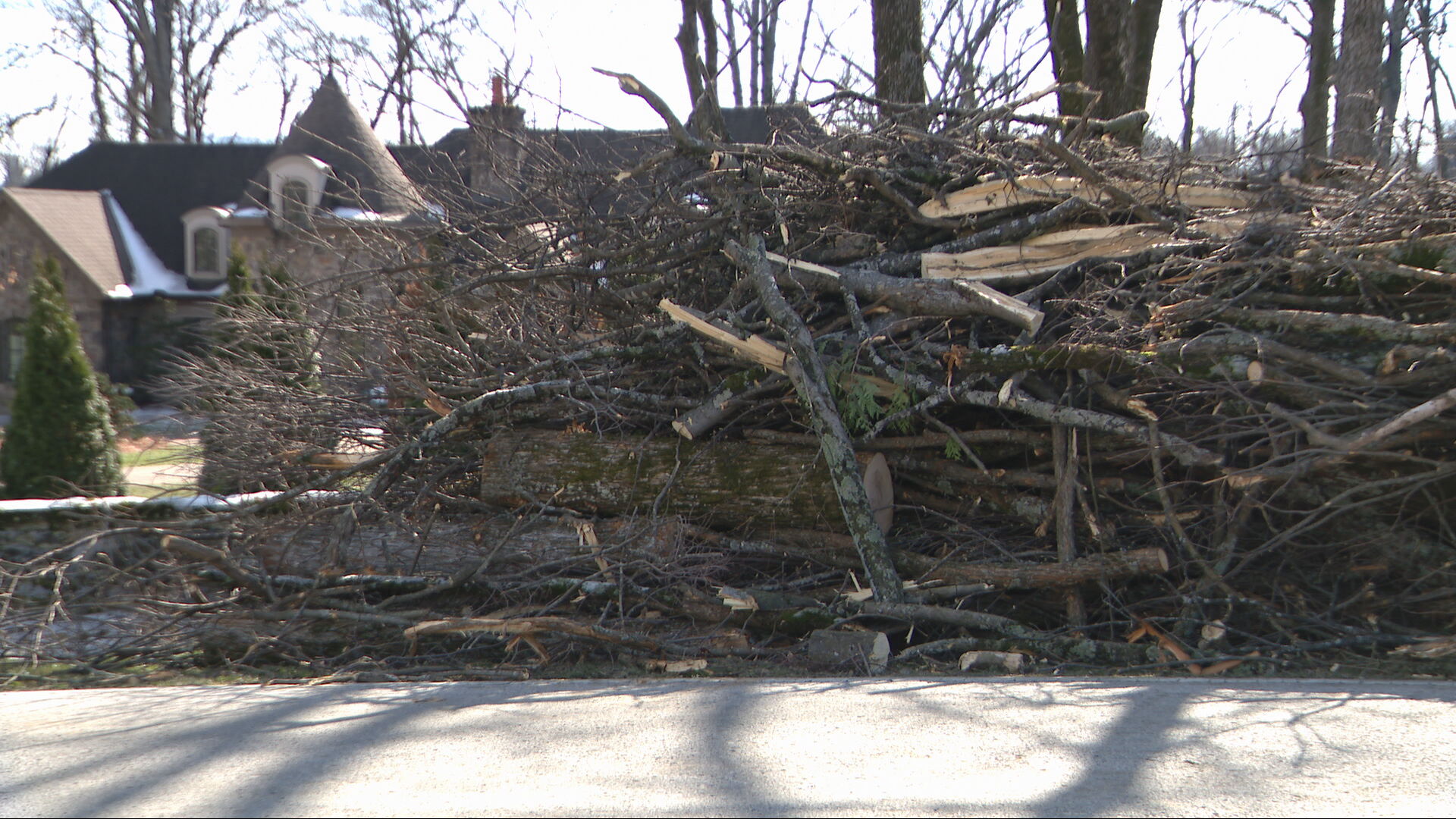 Tree Pile Green Hills 