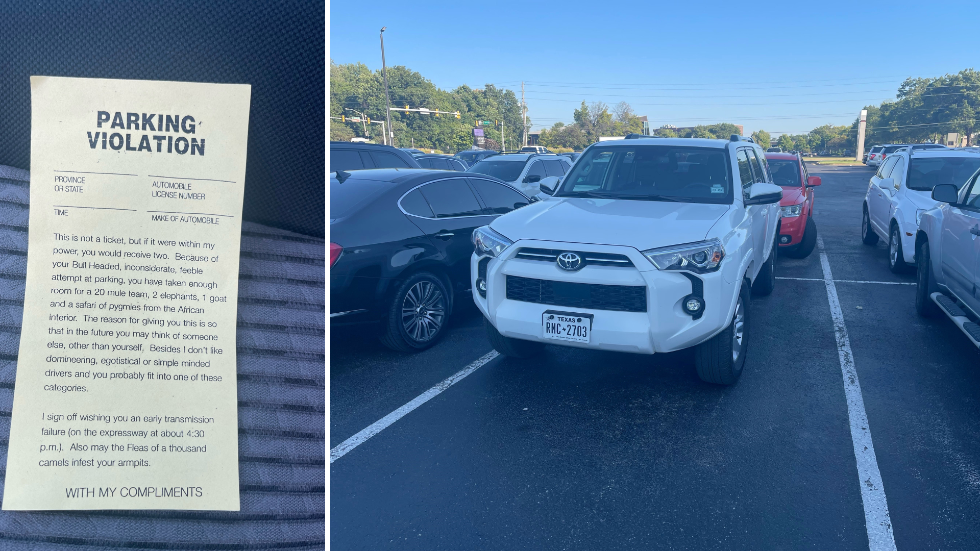 Fake parking ticket