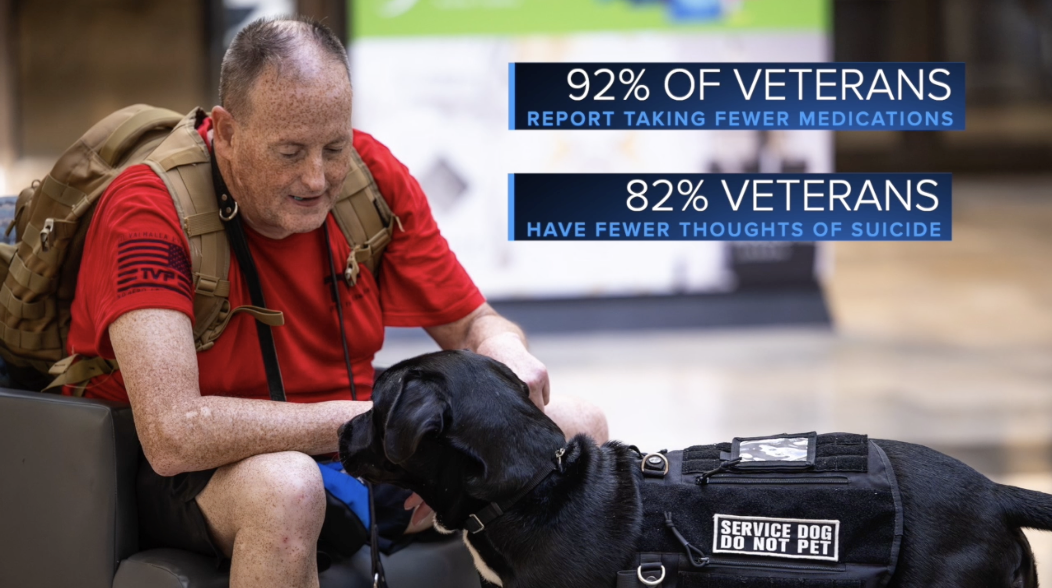 Thomasville rescue dogs trained to help veterans with PTSD
