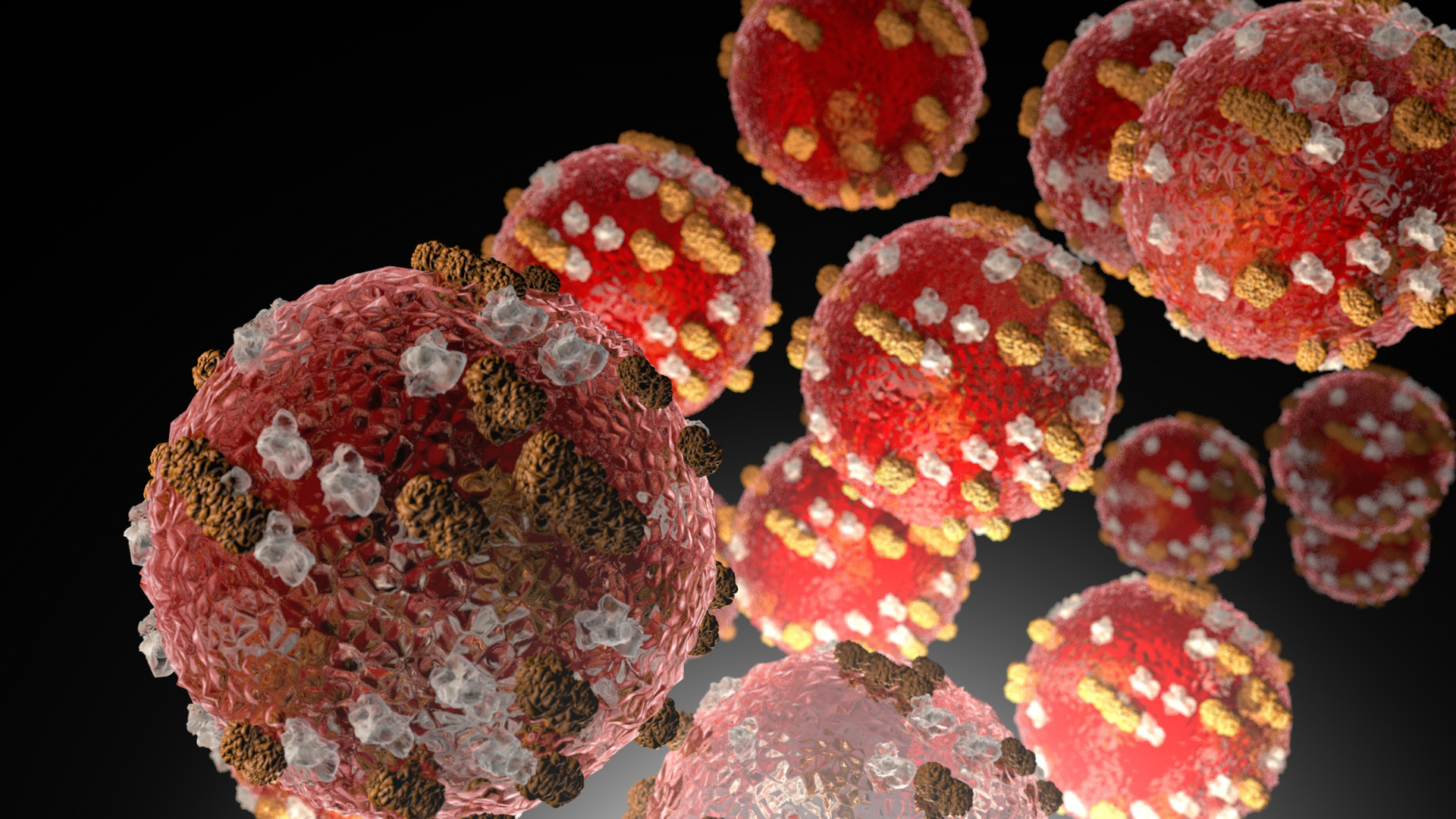 Featured Image Custom Edit (18).png