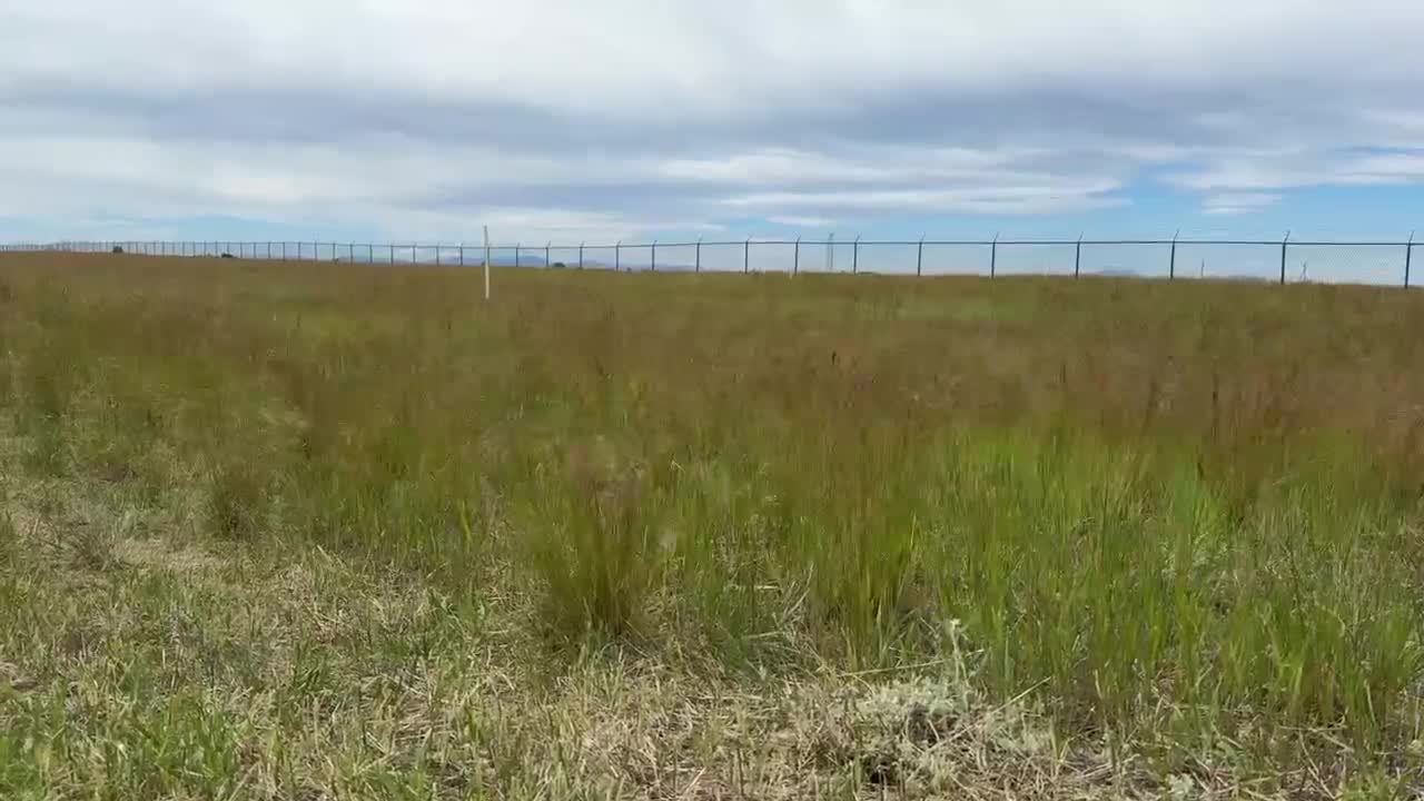 wildfire season preps