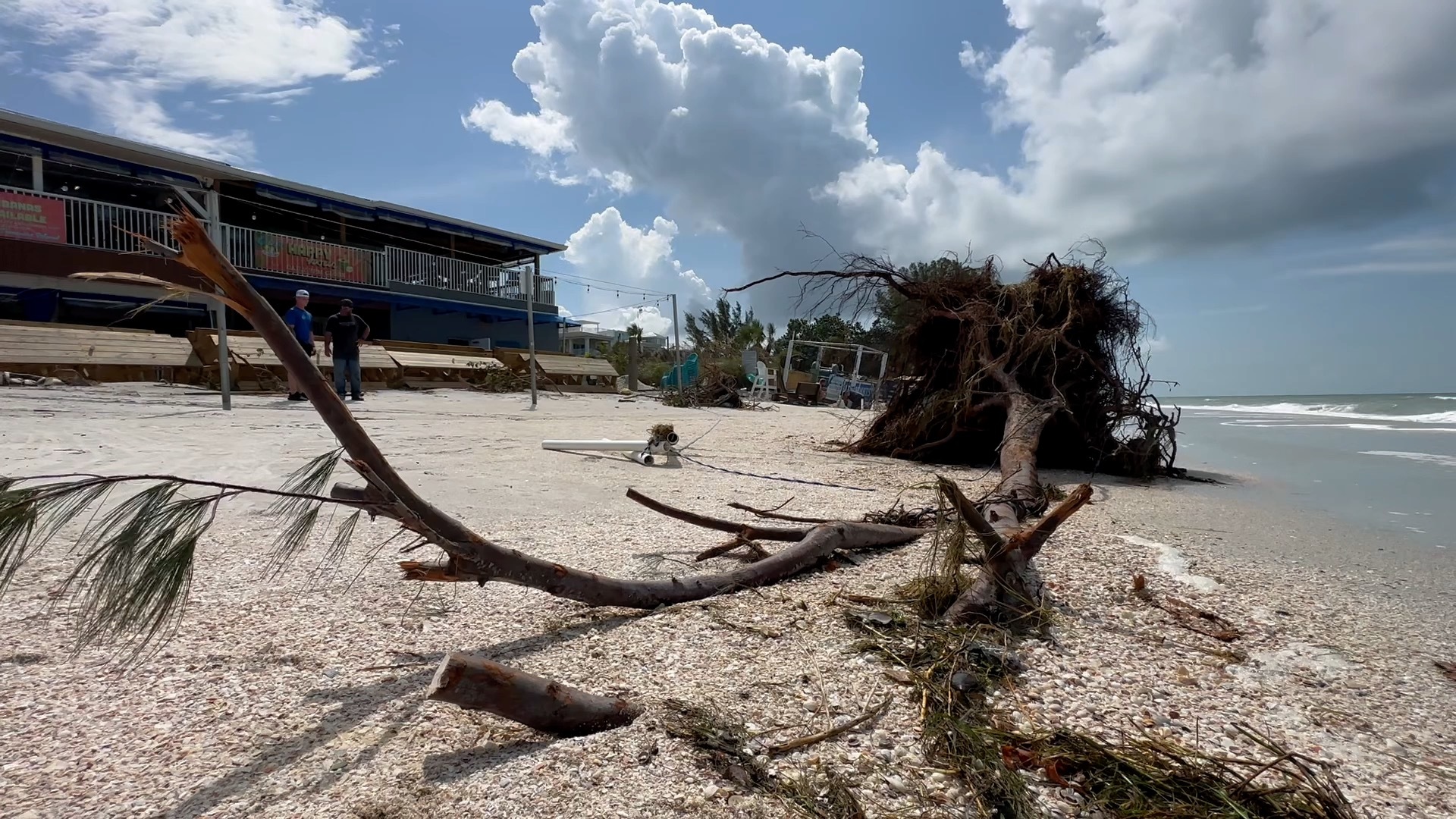 Aftermath of Idalia: Pinellas County
