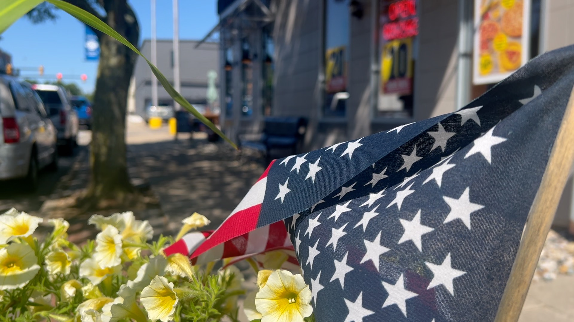 Flag in Dewitt