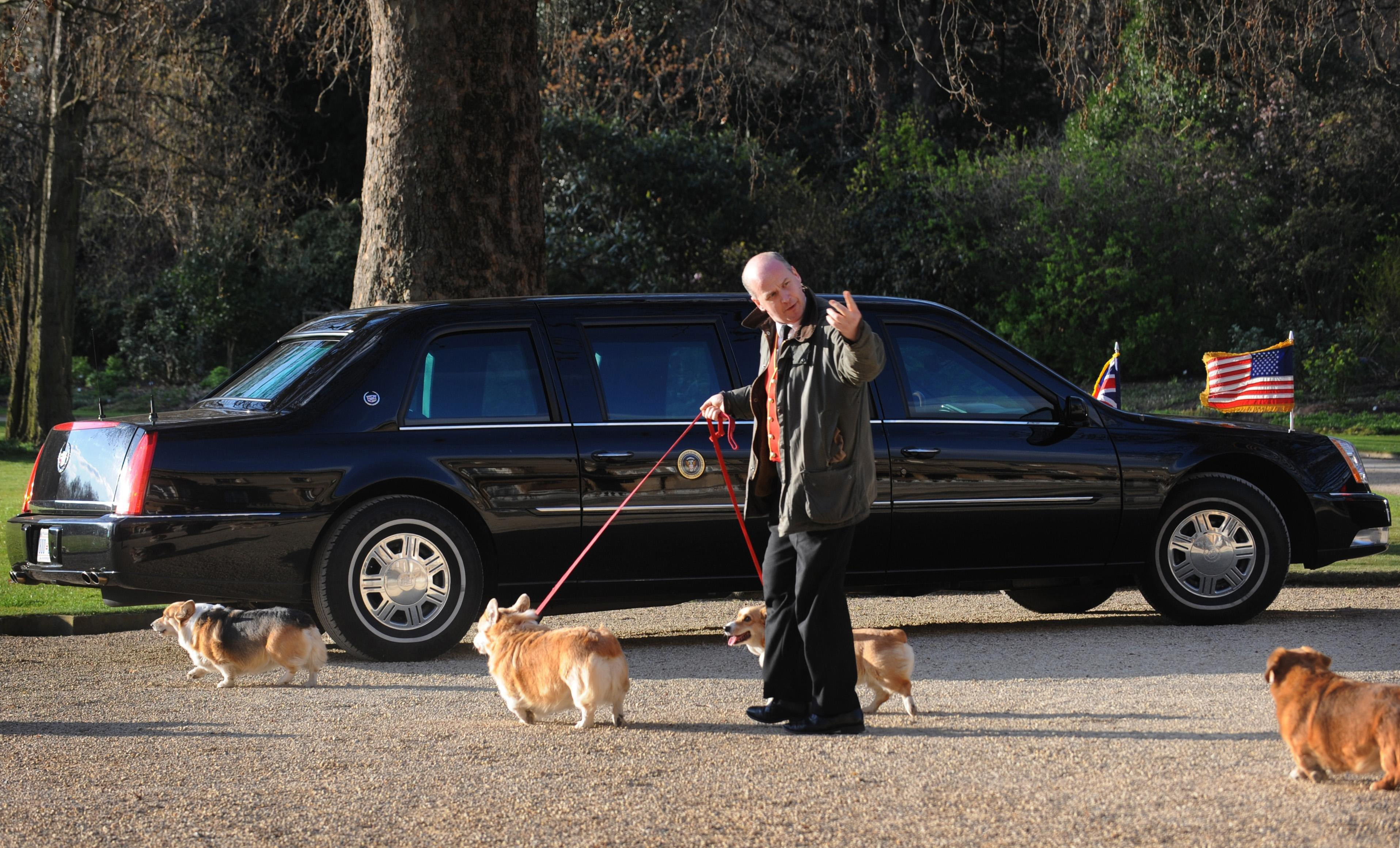 Britain Royals Corgis