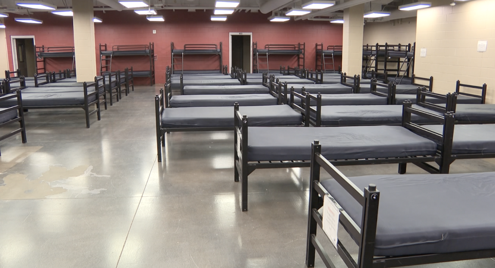 beds wide.png
