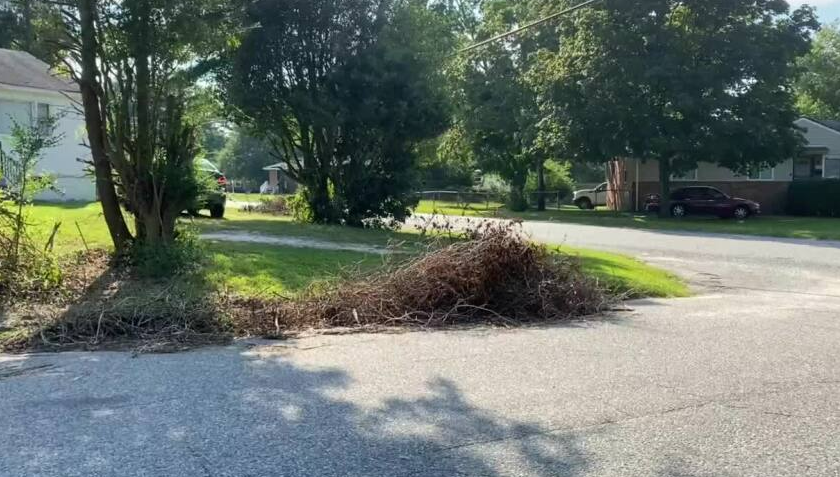 After waiting for 5 months, piles of brush finally removed from outside Petersburg home