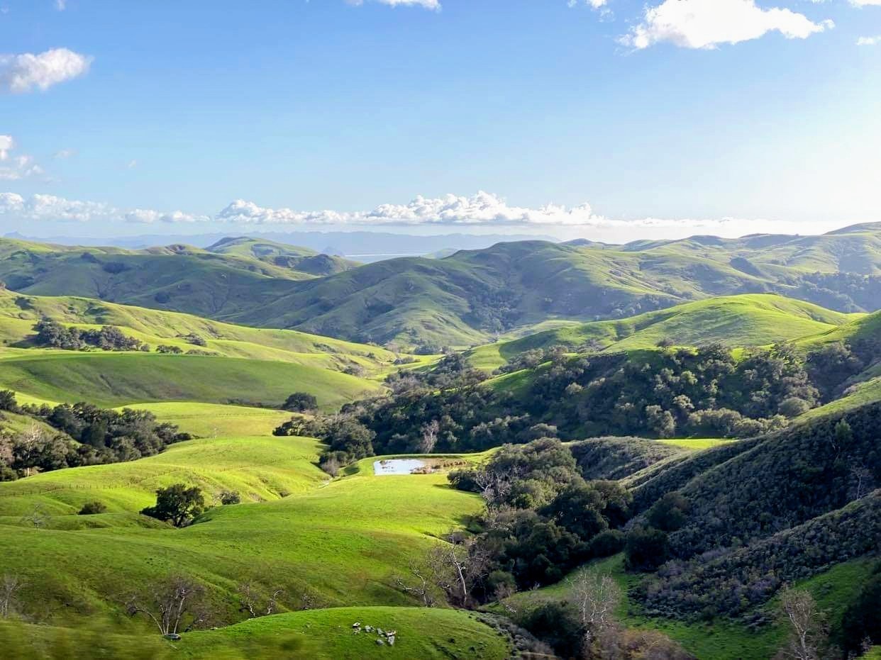 The hills are greening up here on the Central Coast 