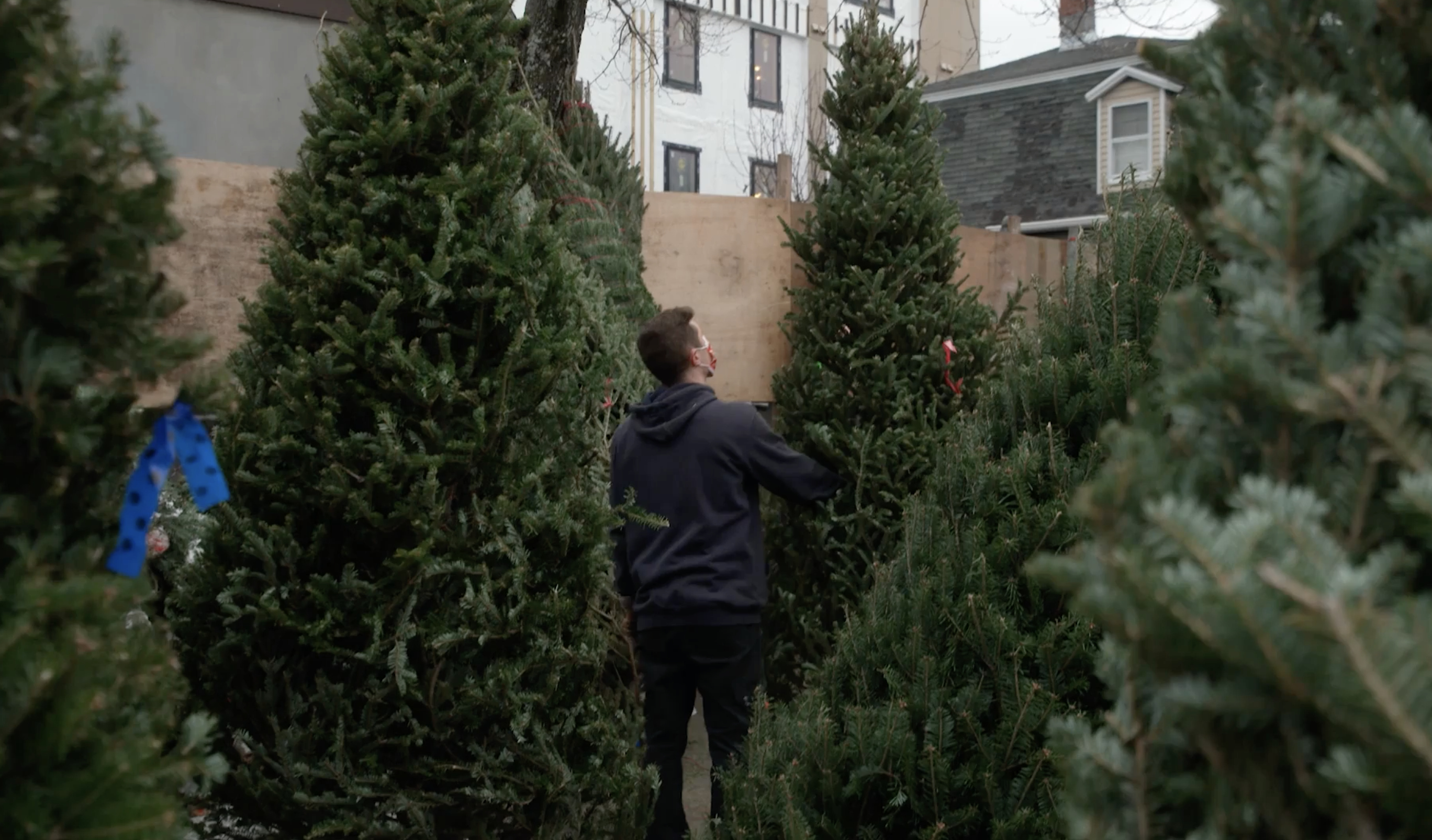 Christmas tree sales surprisingly high, some sellers could run out early - Vimarsana News
