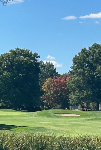 Fall Colors .jpg