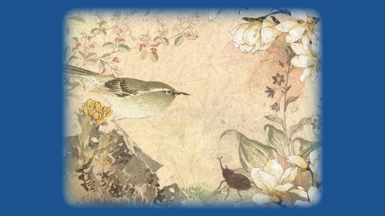 Marietta Ann (Kuehl) Benton
July 18, 1945 ~ March 12, 2025