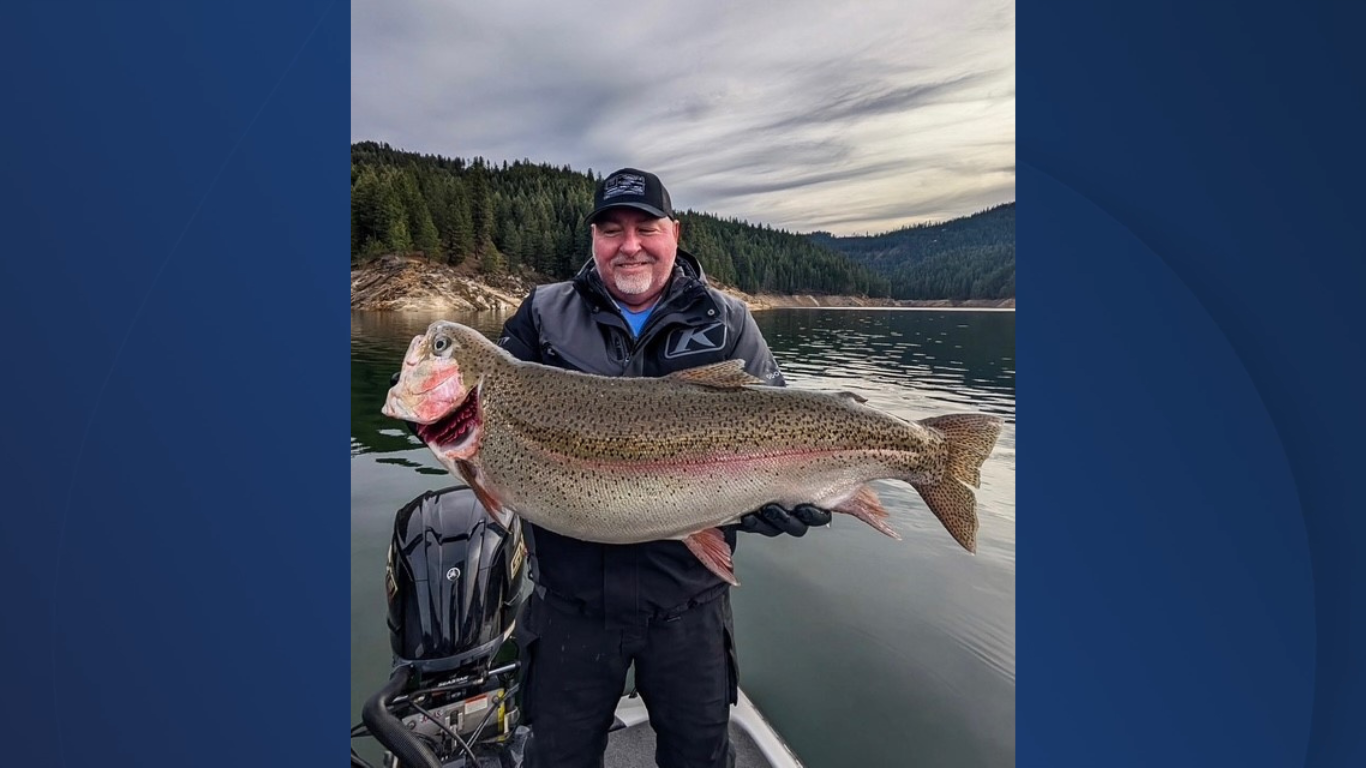 Rainbow Dworshak.png