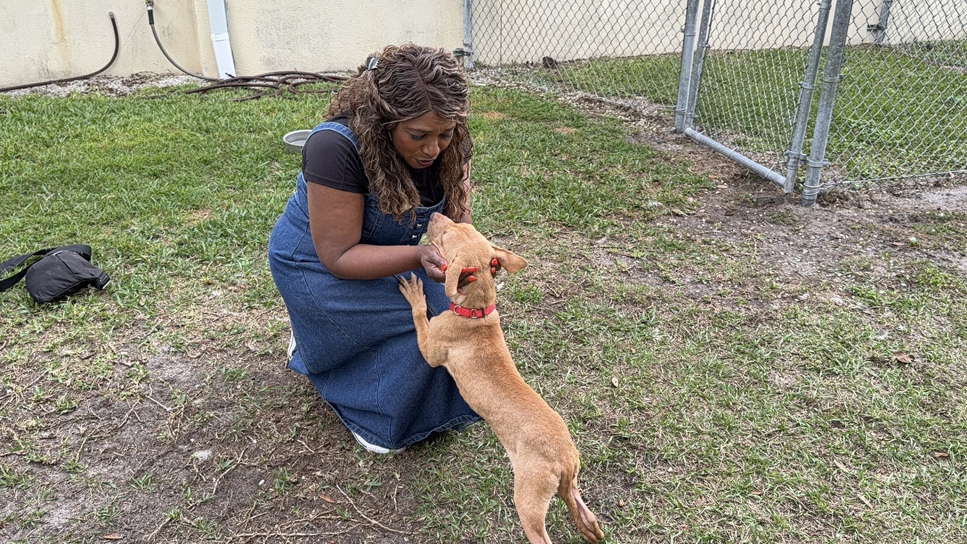 TANIA AND HOLLY UNDERDOG