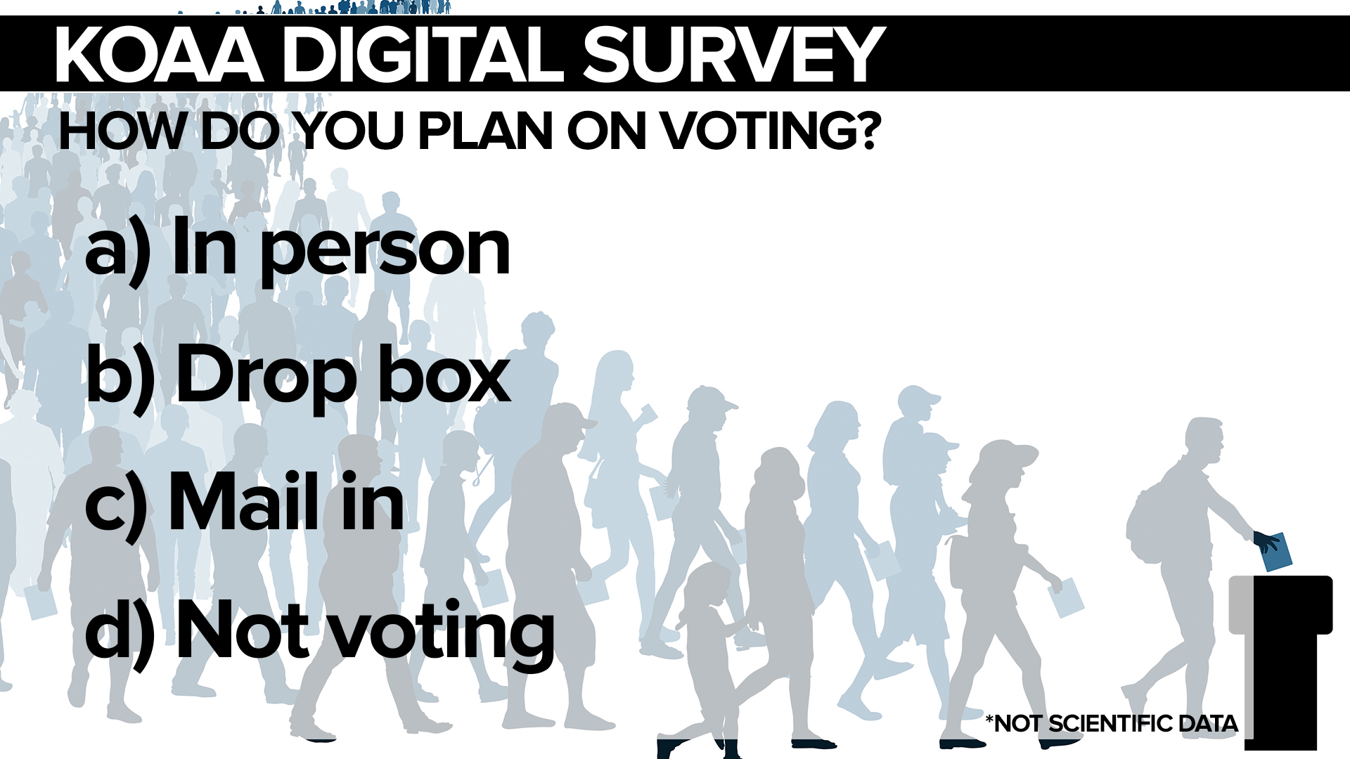SURVEY Voting.jpg
