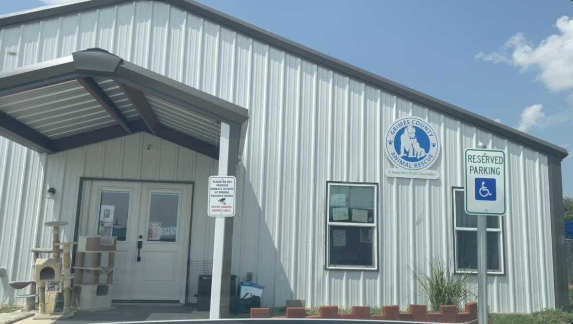 From neglect to a new life: Grimes County Animal Rescue seeking foster families for more than 20 dogs found in poor health