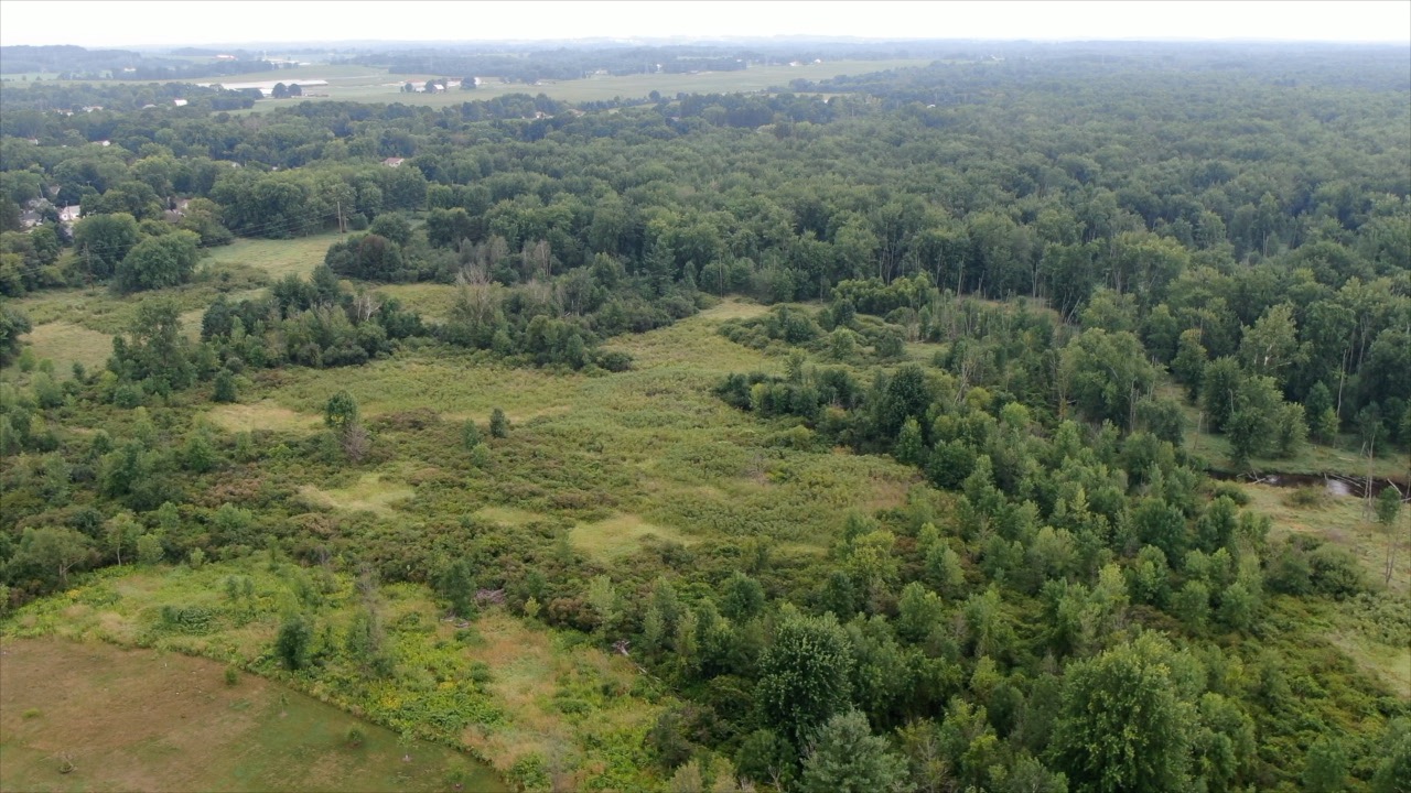 Rogue River Park.jpg