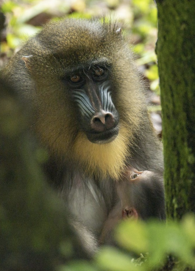 PC: Walt Disney World