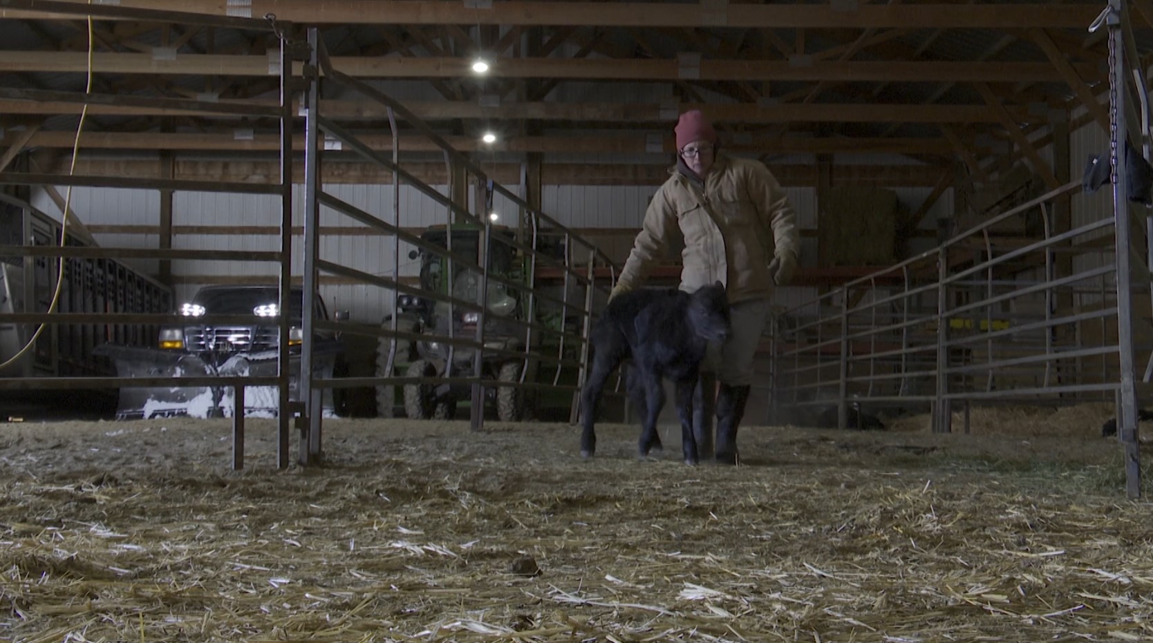 Calving season in Montana made difficult by extreme winter weather - Vimarsana News
