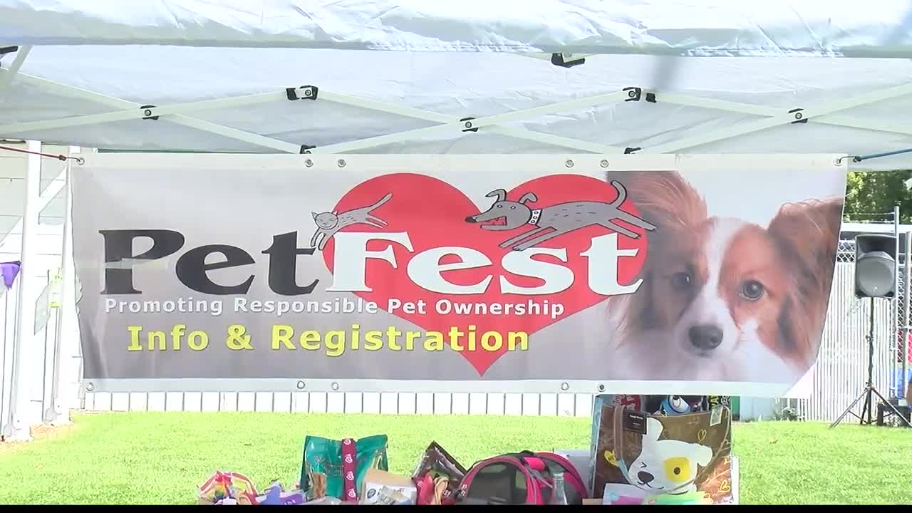 Largest pet adoption event in Montana moved online due to COVID-19