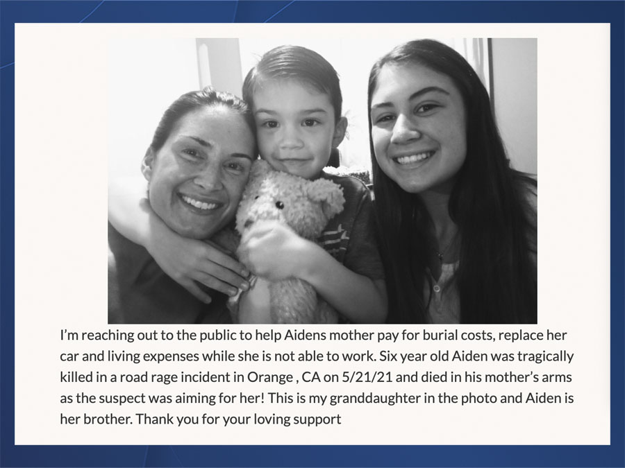 aiden_leos_gofundme_screen.jpg