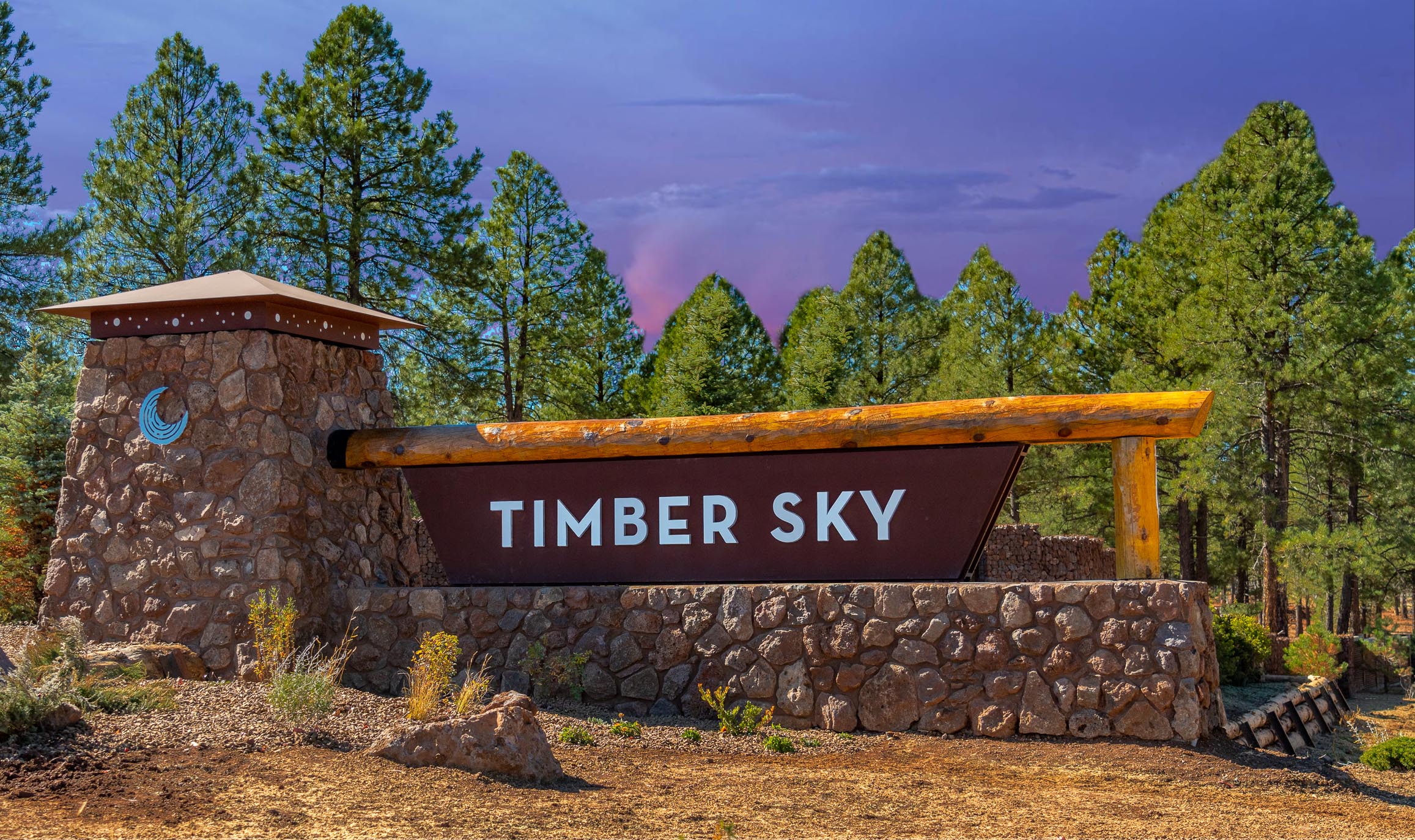 Timber Sky.jpg