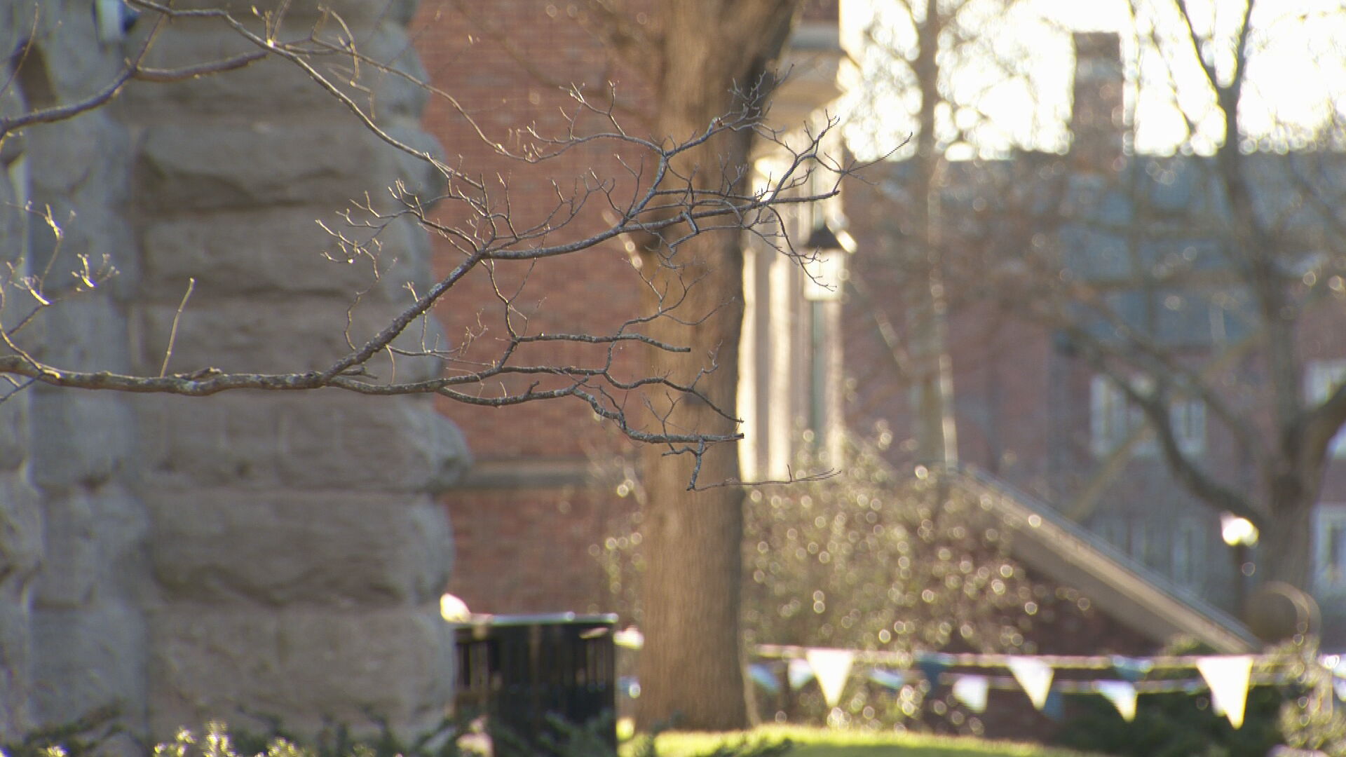 Vandy program DEI effects RAW_frame_6615.jpeg