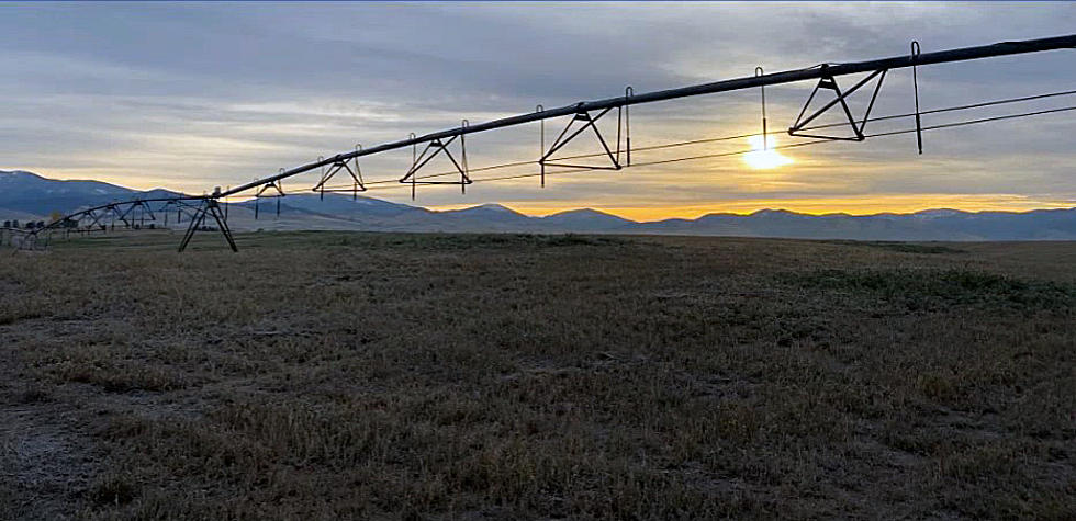 Open Space Conservation