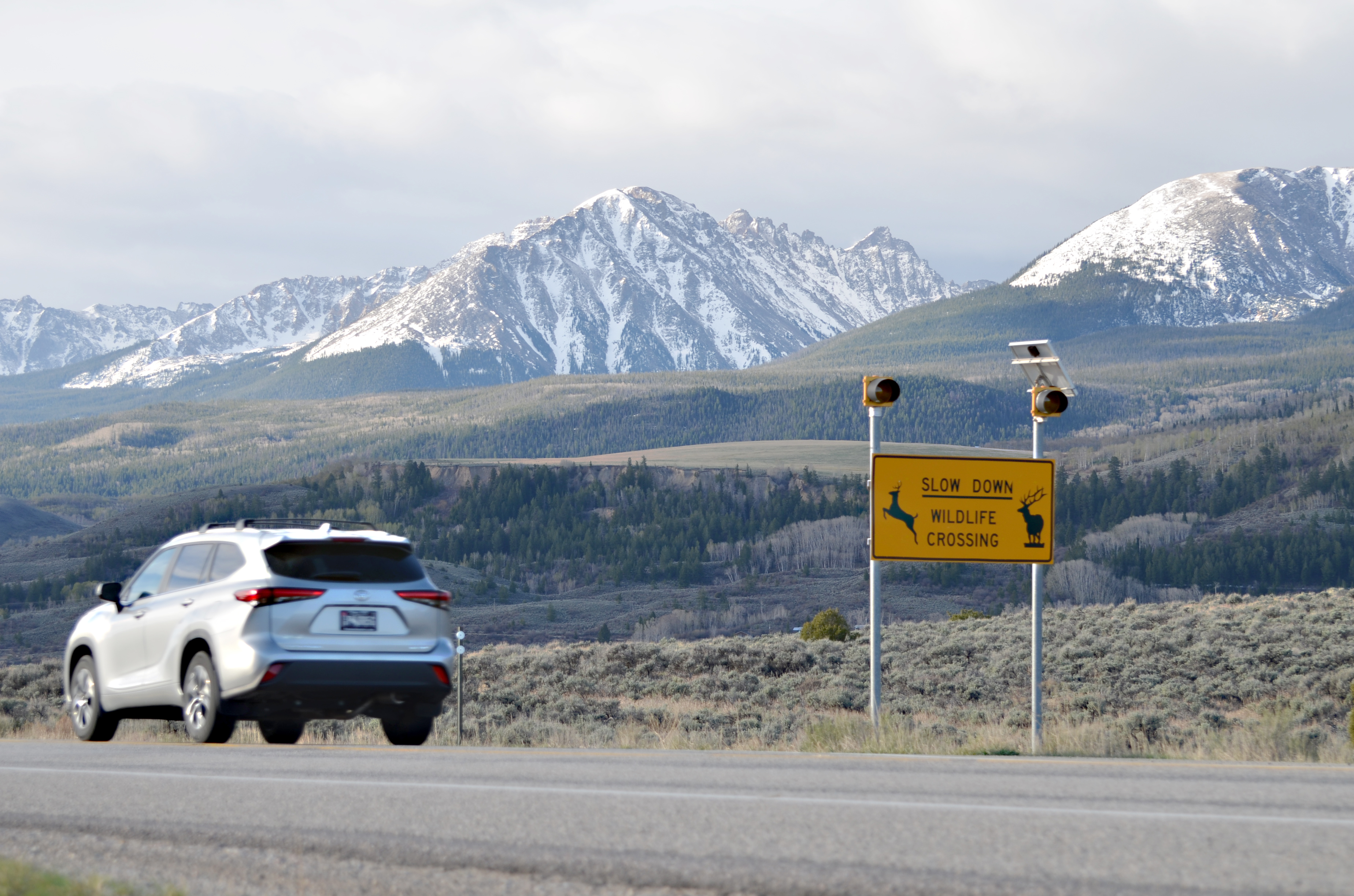 Polis signs bill supporting construction of more wildlife crossings across Colorado — here's how it works