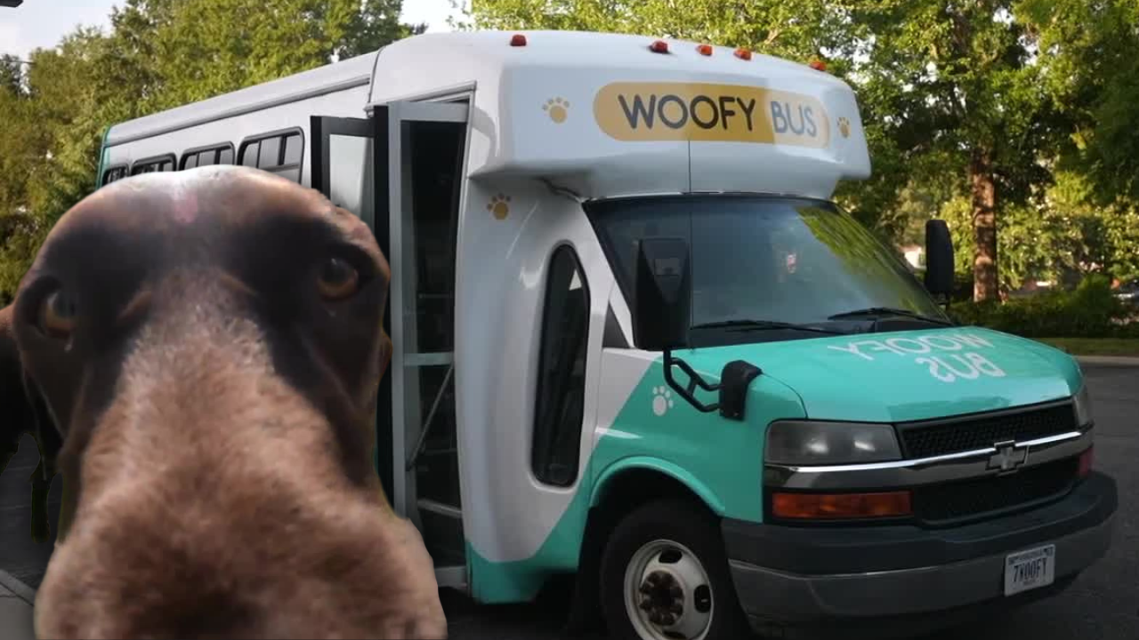 Woofy Bus