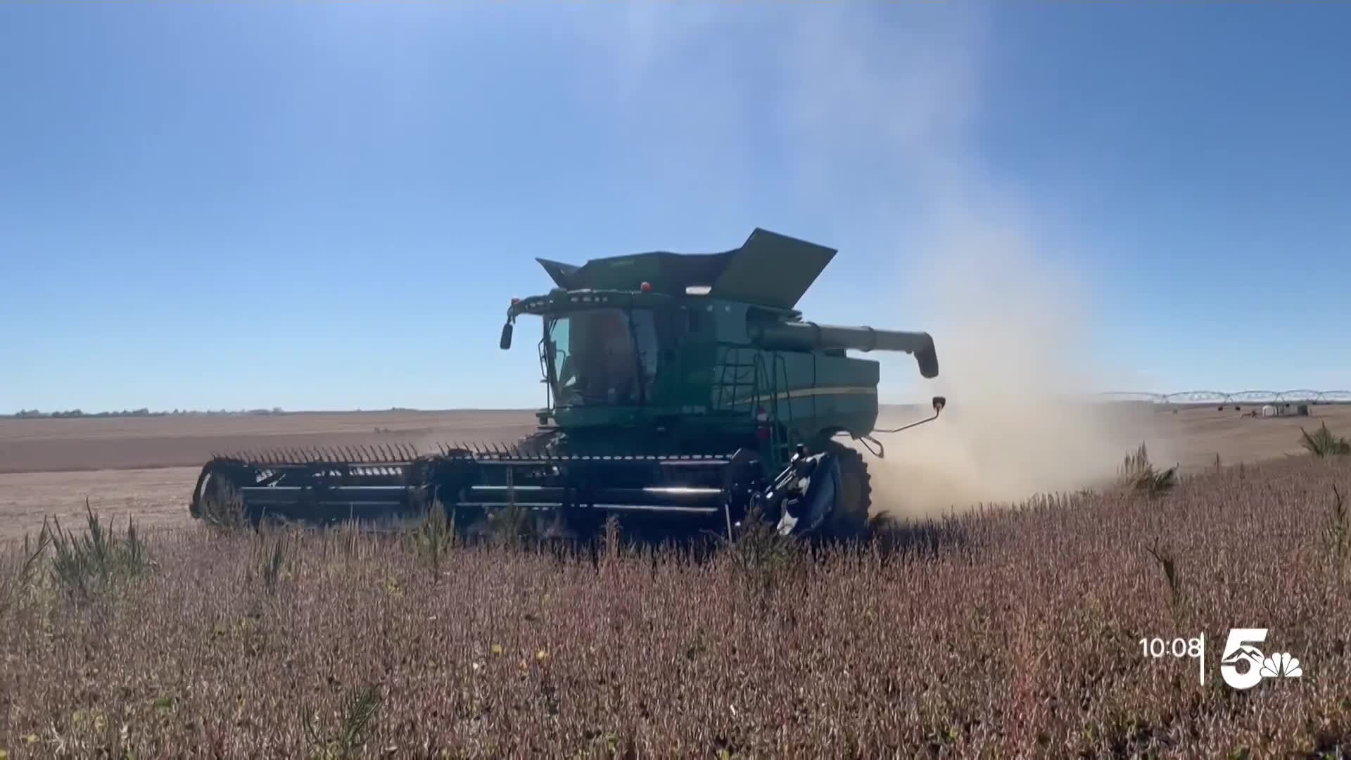 Soybean Farming