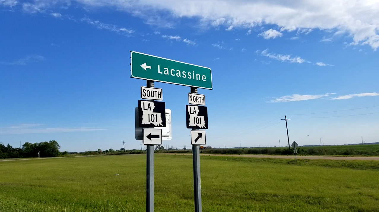 Lacassine