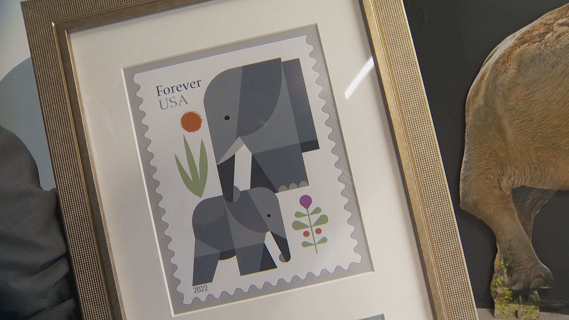 elephant forever stamp, framed